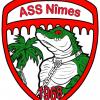 Nimes logo