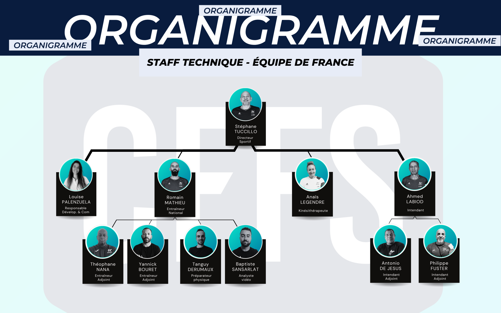 Organigramme edf h