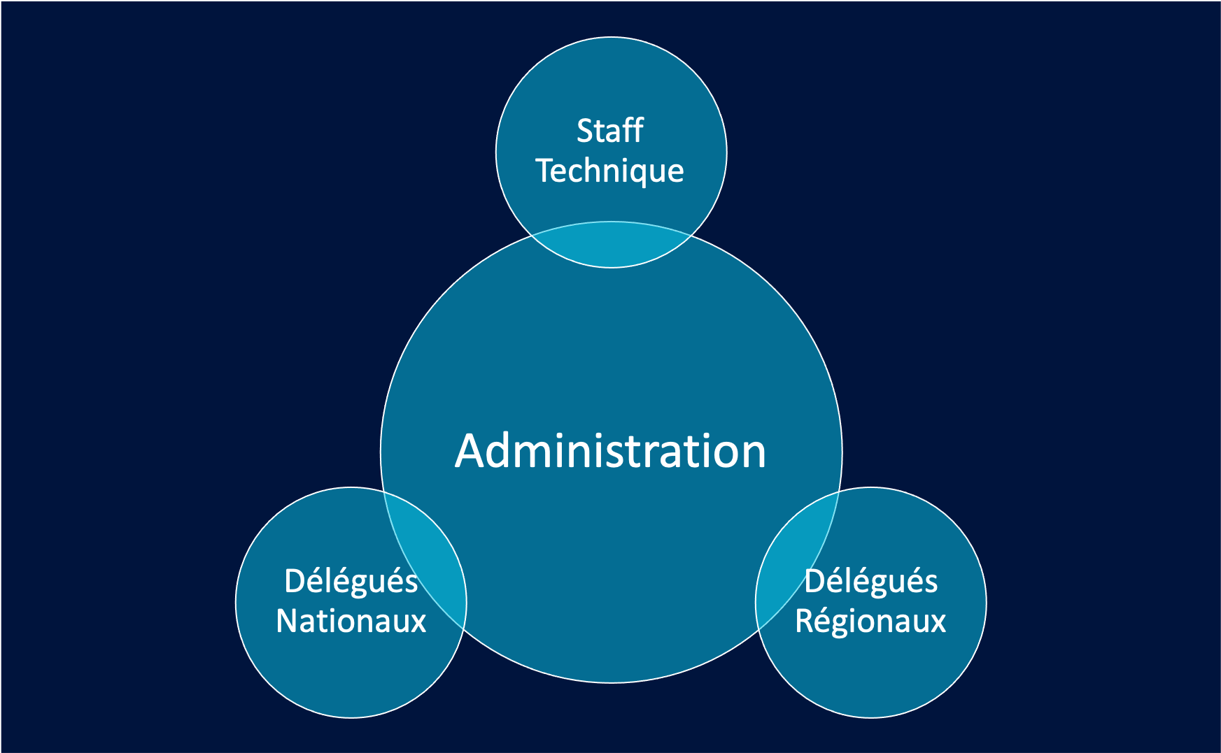 Organigramme site 2